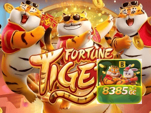 Guia install APK 8385 BET BR